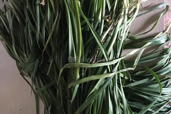 野菜腌橙皮的做法图解1