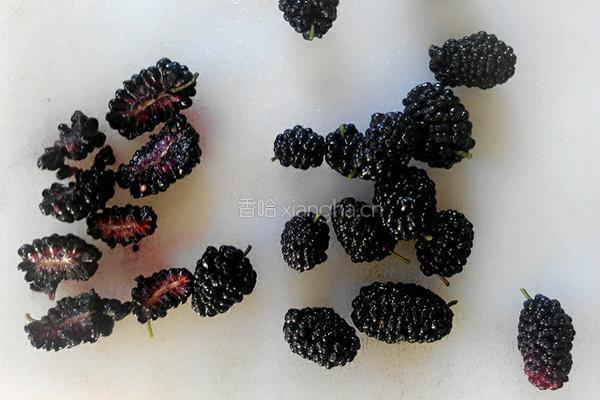 水果三明治的做法图解5