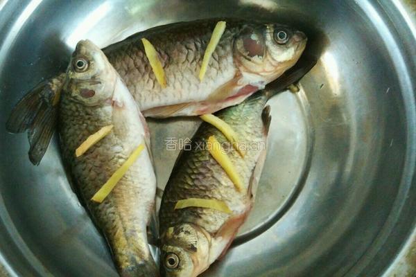 鲫鱼豆腐汤的做法图解1