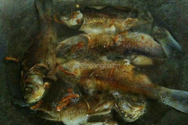 鲫鱼豆腐汤的做法图解3