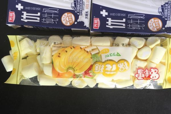 自制冰激凌的做法图解1