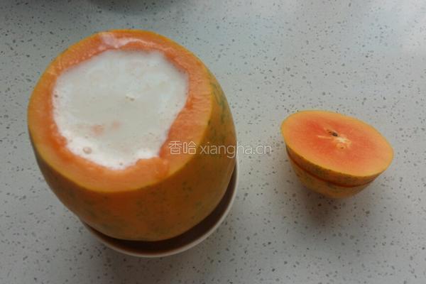 木瓜椰奶冻的做法图解5