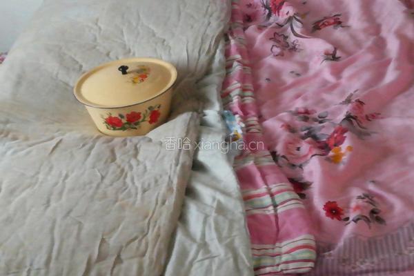 酒酿的发酵的做法图解5