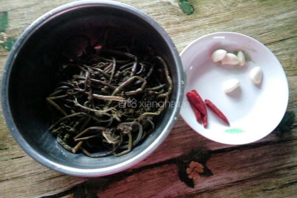 凉拌蕨菜的做法图解1