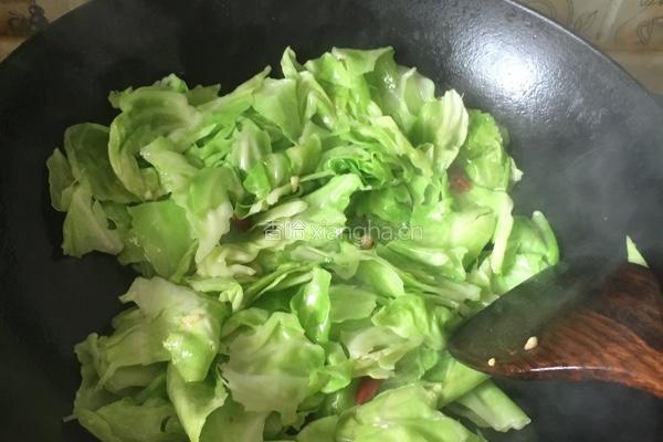 手撕茴子白（清炒）的做法图解6