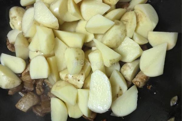 土豆炖红烧肉的做法图解7
