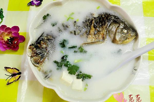 豆腐鱼汤