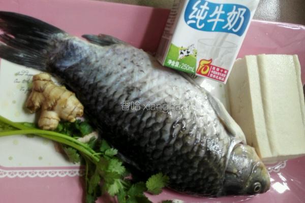 豆腐鱼汤的做法图解1