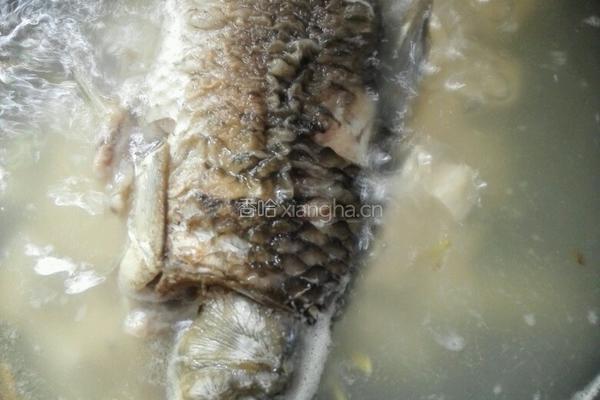 豆腐鱼汤的做法图解7