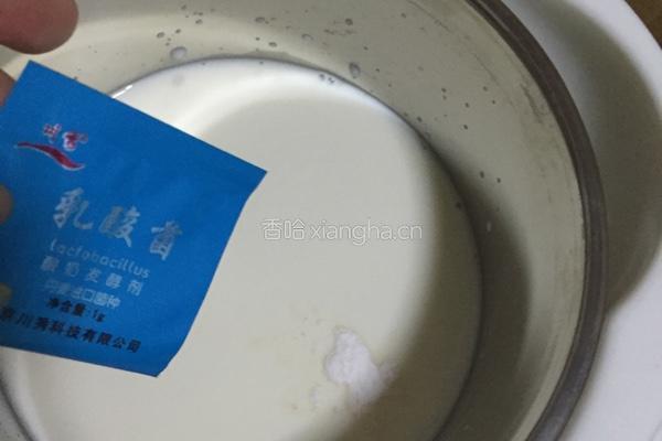 西瓜蜂蜜自制酸奶的做法图解2