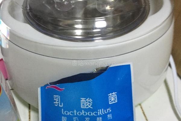 蜂蜜火龙果自制酸奶的做法图解1