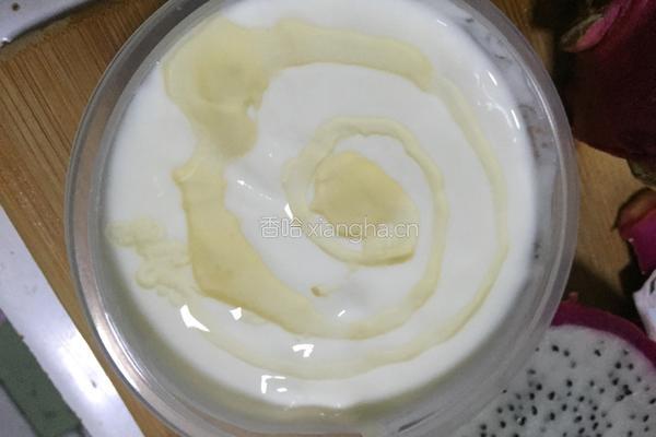 蜂蜜火龙果自制酸奶的做法图解3