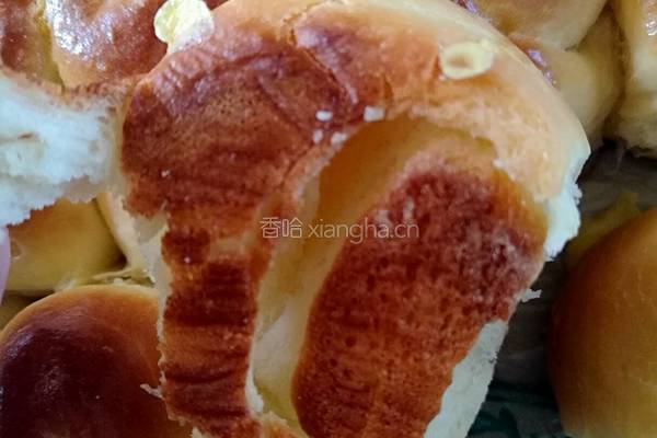蜂蜜香酥面包的做法图解12