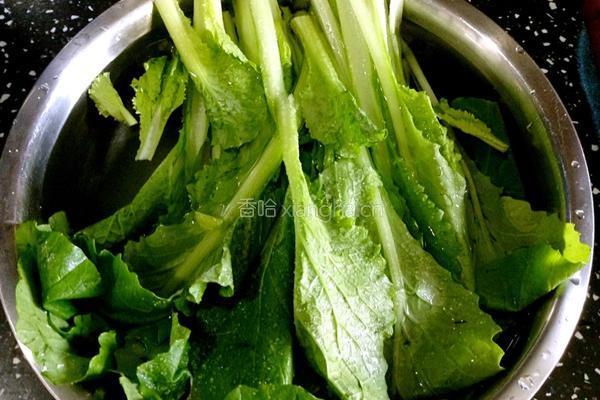 香菇青菜素锅贴的做法图解4