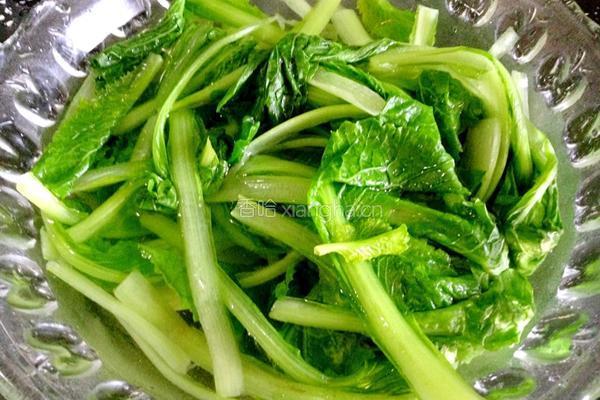 香菇青菜素锅贴的做法图解9