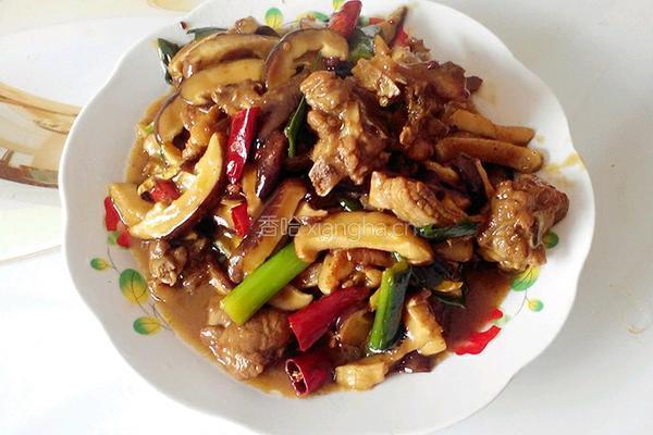 香菇烧鸡的做法图解9