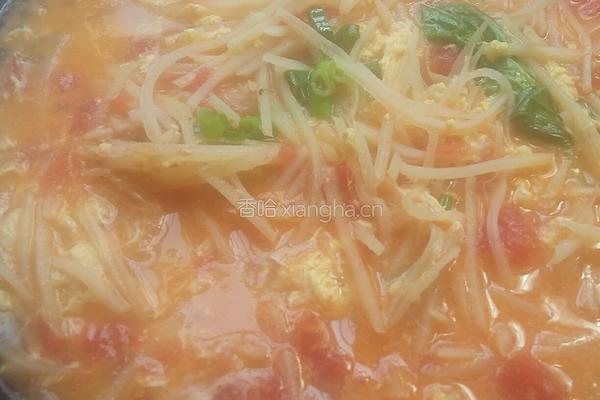 鸡蛋土豆丝的做法图解6