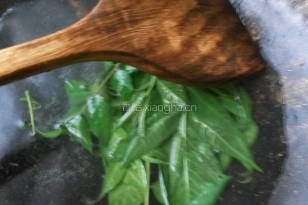 凉拌香椿芽的做法图解5