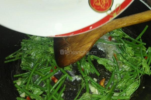 辣炒南瓜藤的做法图解5