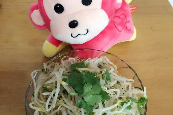 凉拌豆芽的做法图解4