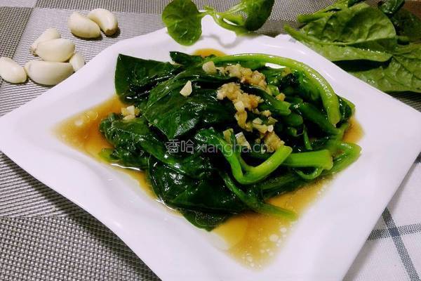 蒜蓉木耳菜的做法图解8