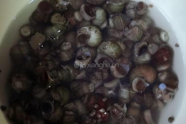 酱爆螺丝的做法图解1