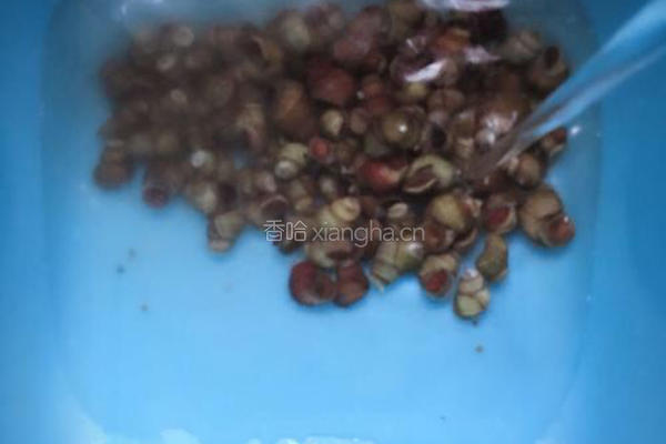 酱爆螺丝的做法图解2