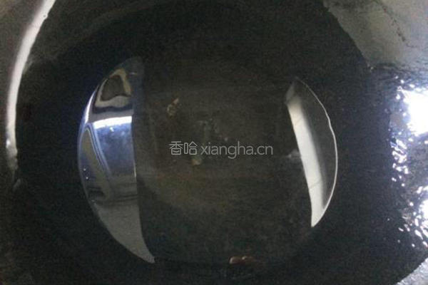 香辣龙虾的做法图解7