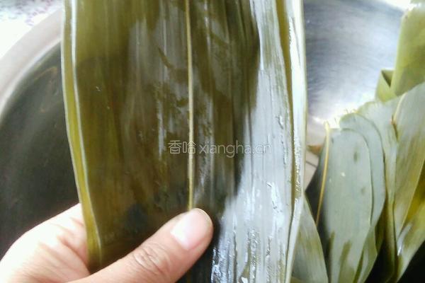 蜜枣三角粽的做法图解5