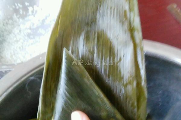蜜枣三角粽的做法图解9
