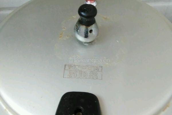 蜜枣三角粽的做法图解13