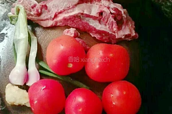番茄炖牛腩的做法图解1