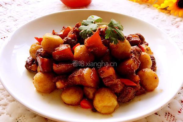 土豆炖肉的做法图解15