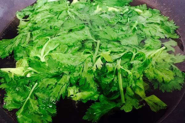凉拌芹菜叶的做法图解2