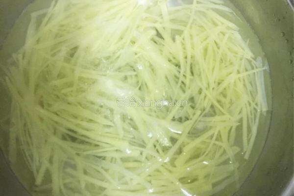 凉拌土豆丝的做法图解4