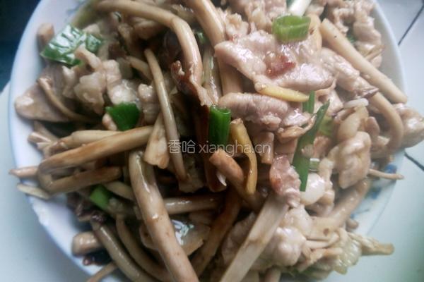 茶树菇炒肉片的做法图解4
