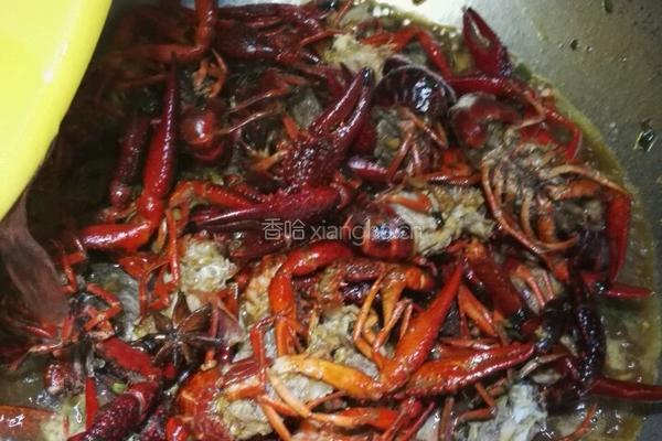 红烧龙虾的做法图解7