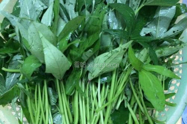 蒜蓉炒番薯叶的做法图解1