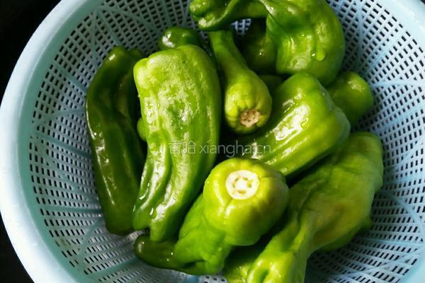 豆豉青椒的做法图解1