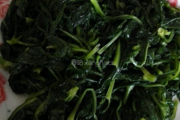 拌野生苦菜