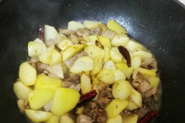 土豆烧肉的做法图解6