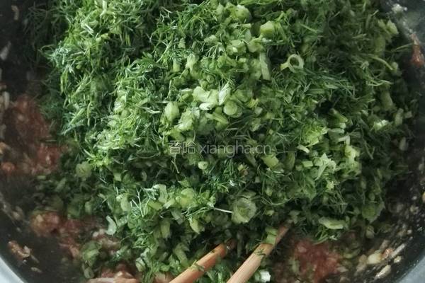 茴香猪肉馅饺子的做法图解6