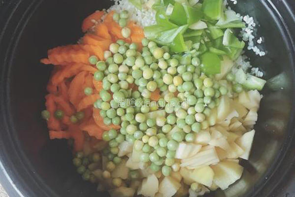 胡萝卜土豆饭的做法图解4