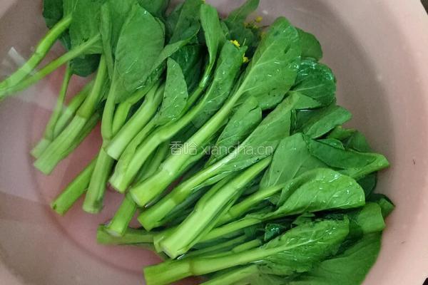 白灼广东菜心的做法图解1
