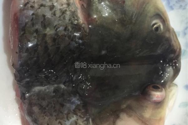 鱼头汤的做法图解1