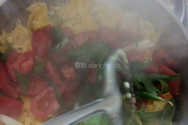 柿子炒鸡蛋的做法图解5