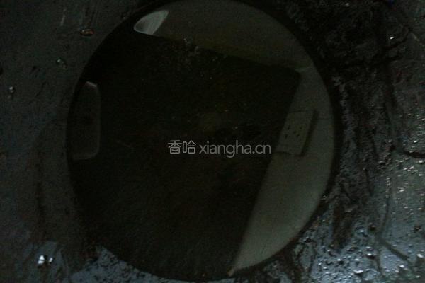 水煮鱼片的做法图解12