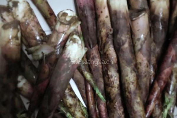 竹笋炒肉丝的做法图解1