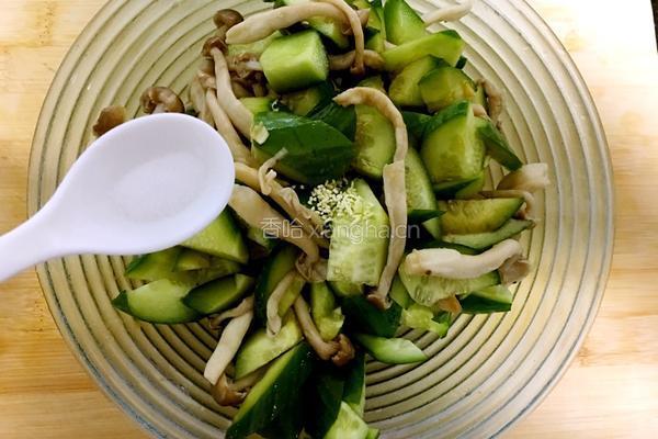 凉拌黃瓜的做法图解7