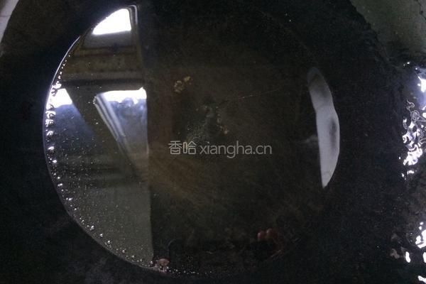 完美家常红烧鱼的做法图解3